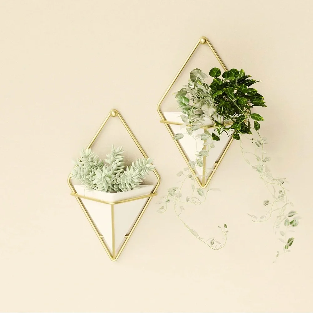 Wall Decor Hanging Planter, Set of 2 Pots for Succulents, Cactus, Faux Plants.